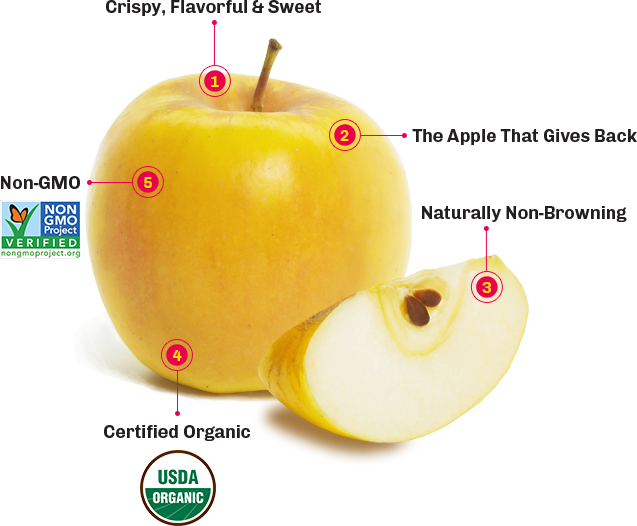 Organic Large Opal Apple, 1 count, From Our Farmers